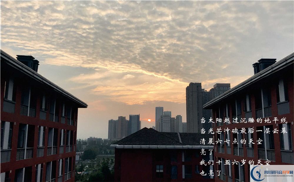 七中高新2020年好嗎？