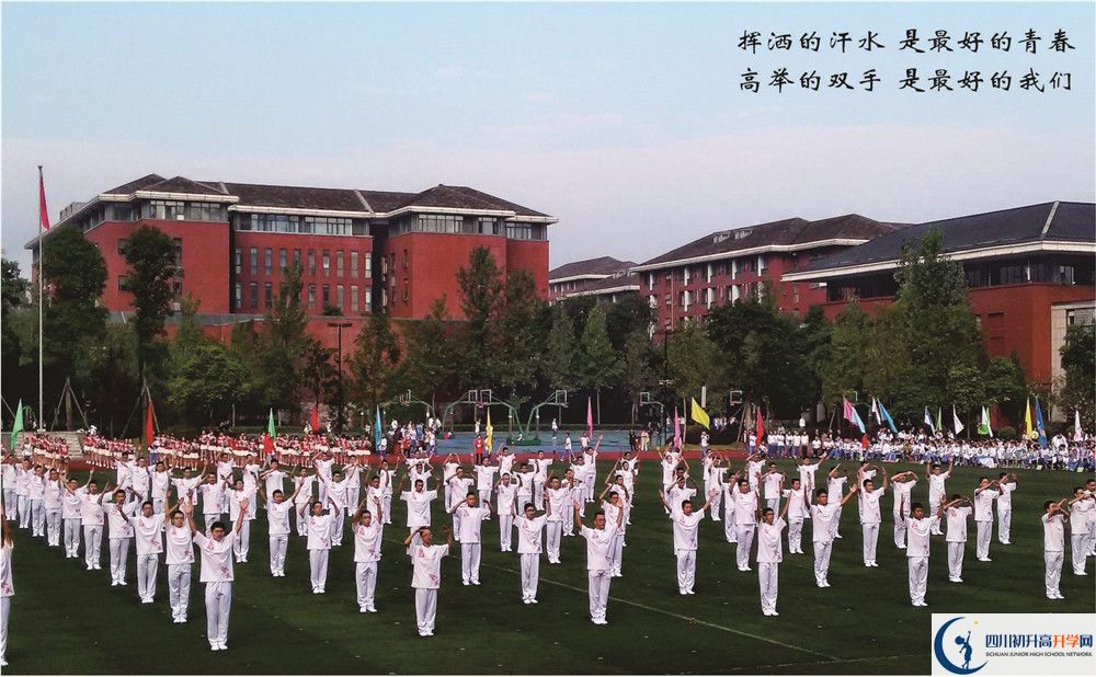 七中高新校區(qū)2020年中考重點(diǎn)率多少？