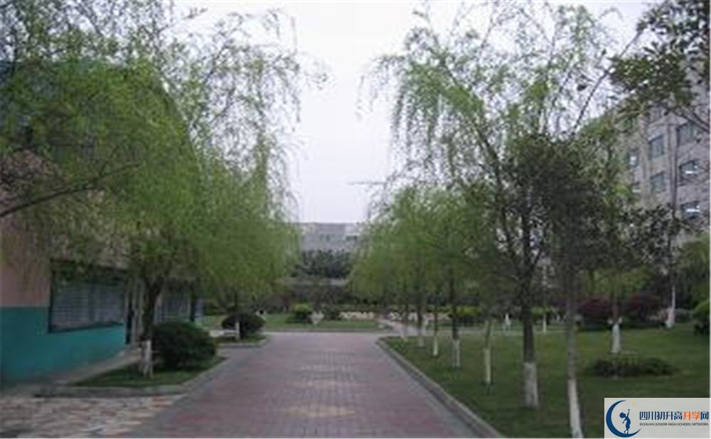成都石室佳興外國(guó)語(yǔ)學(xué)校在哪個(gè)區(qū)？