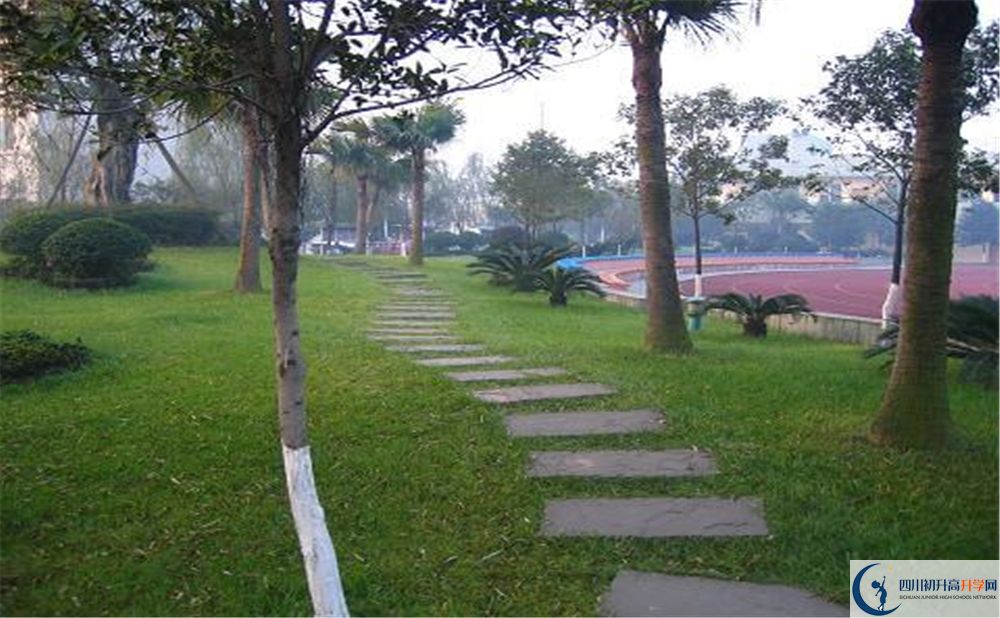 石室佳興外國(guó)語(yǔ)學(xué)校2020年是幾類？