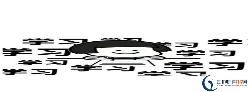 成都外國語學校和成都美視國際學校哪個好？