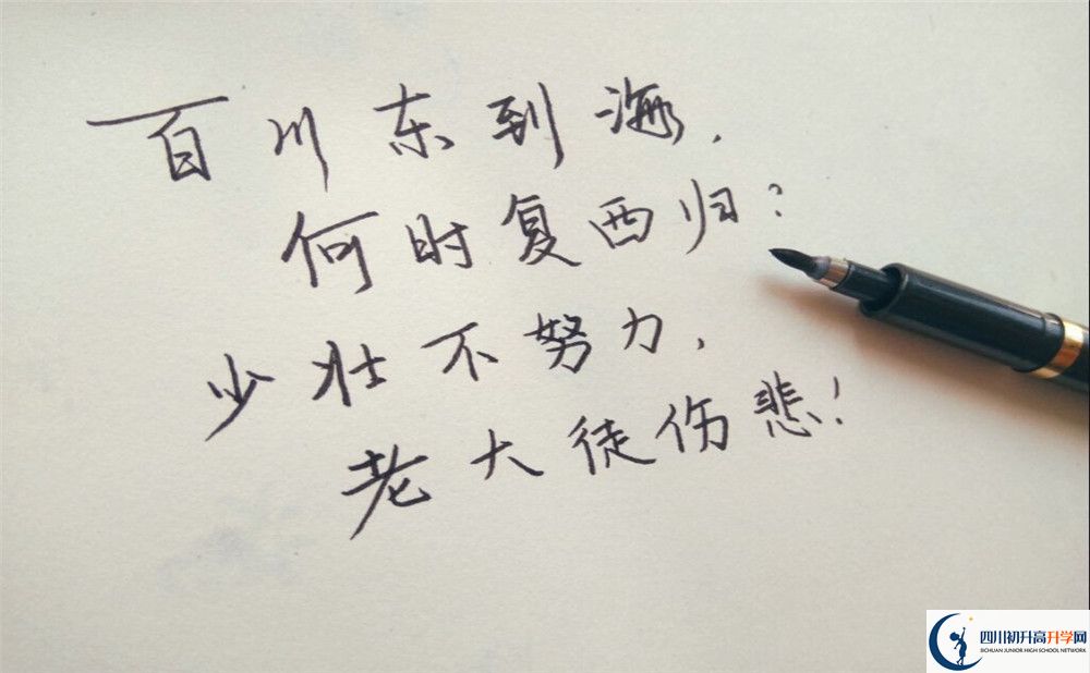2023年成都市新津區(qū)實(shí)驗(yàn)高級中學(xué)招生計劃是什么？